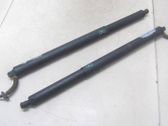 Tailgate/trunk strut/damper