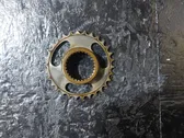 Timing chain sprocket