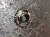 Camshaft pulley/ VANOS