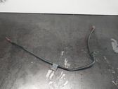 Wires (starter motor)