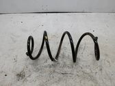 Front coil spring