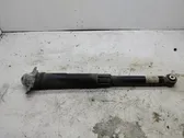 Rear shock absorber/damper