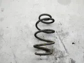 Front coil spring