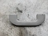 Front interior roof grab handle