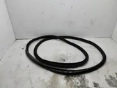 Trunk rubber seal (body)