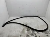 Front door rubber seal