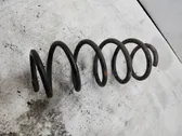 Front coil spring