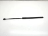 Front bonnet/hood damper/strut