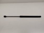 Tailgate/trunk strut/damper