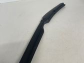 Moldura de la puerta trasera