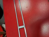 Rear/tail light trim molding
