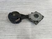 Riemenspanner Spannrolle Lichtmaschine