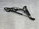 Tailgate/trunk/boot hinge