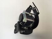 Rear seatbelt