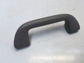 Front interior roof grab handle