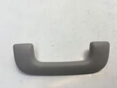 Front interior roof grab handle