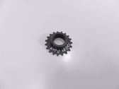 Timing chain sprocket