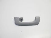 Rear interior roof grab handle