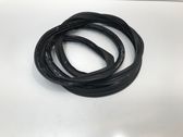 Trunk rubber seal (body)