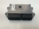 Engine control unit/module ECU