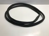 Front door rubber seal