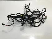Positive wiring loom