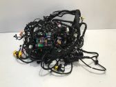 Other wiring loom