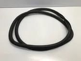 Rear door rubber seal (on body)