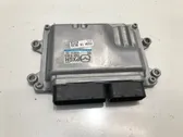 Calculateur moteur ECU