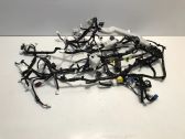Other wiring loom