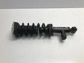 Rear shock absorber/damper