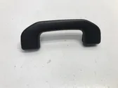 Front interior roof grab handle