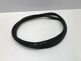 Front door rubber seal