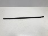 Front door trim (molding)