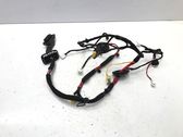 Front door wiring loom