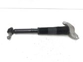 Rear shock absorber/damper