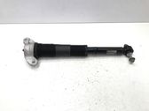 Rear shock absorber/damper