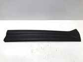 Front door trim (molding)