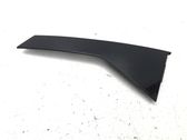 Rear door trim (molding)