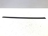 Windshield trim