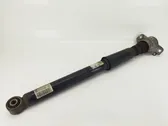 Rear shock absorber with coil spring