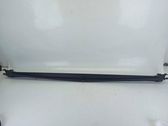 Tailgate/trunk/boot lid