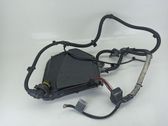 Other wiring loom