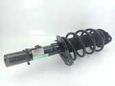 Front shock absorber with coil spring