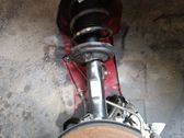 Amortiguador delantero con muelle espiral