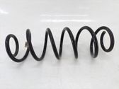 Front coil spring