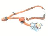 Other wiring loom