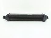 Intercooler radiator