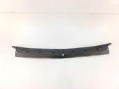 Windshield trim