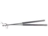 Rear window strut damper